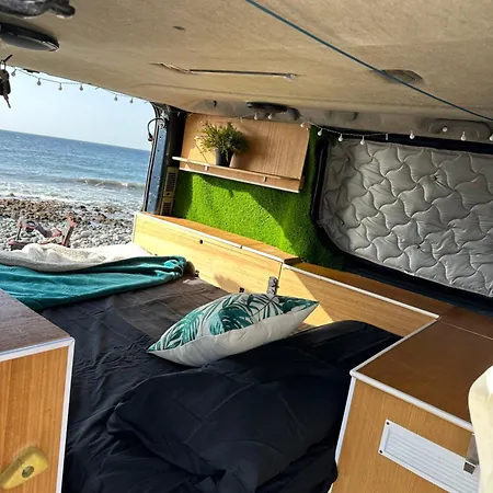 Camper Van The Blue Whale 营地